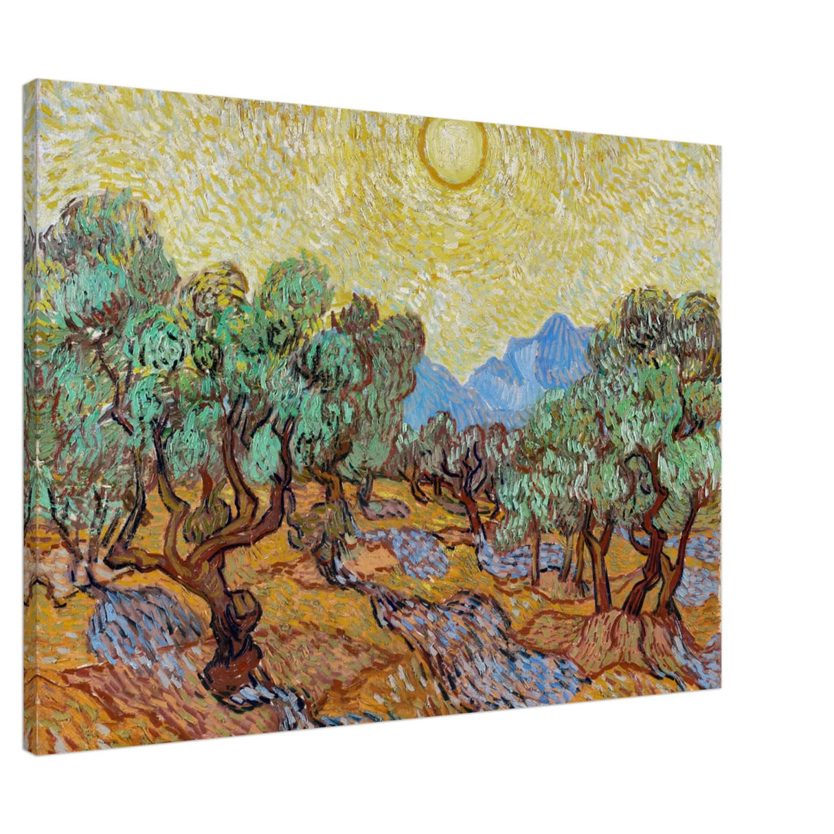 The Olive Trees by Vincent van Gogh - Canvas - 70x100 cm / 28x40″ - Slim