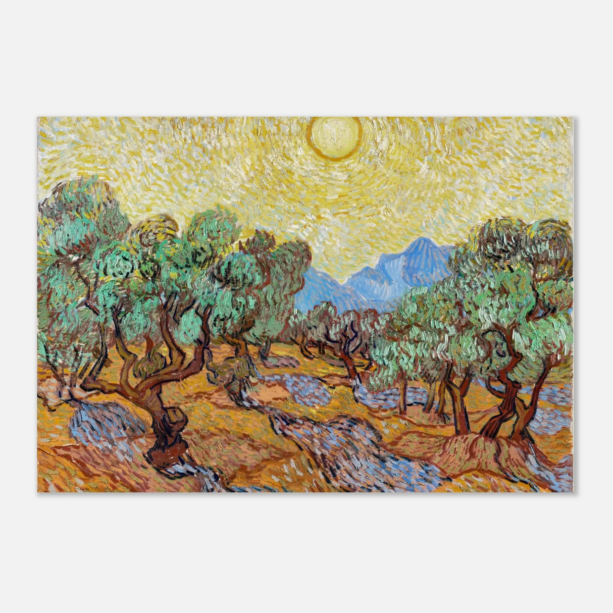 The Olive Trees by Vincent van Gogh - Aluminum Print - 70x100 cm / 28x40″ -