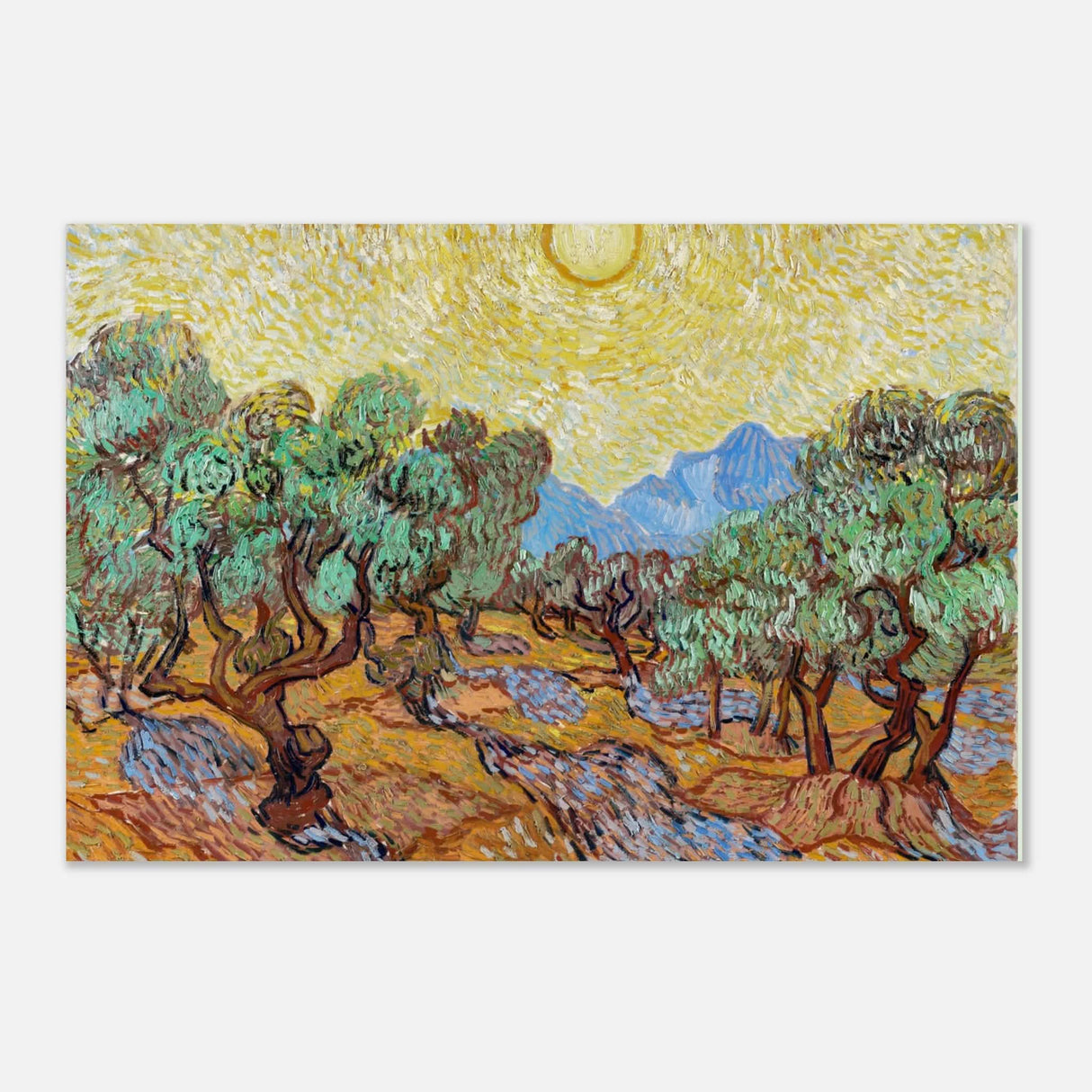 The Olive Trees by Vincent van Gogh - Aluminum Print - 30x45 cm / 12x18″ -