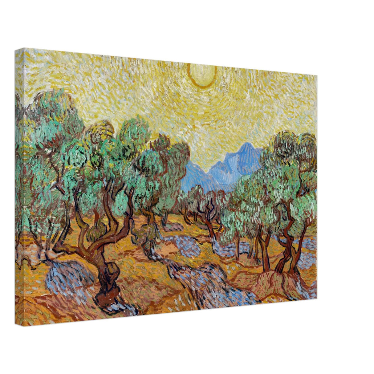 The Olive Trees by Vincent van Gogh - Canvas - 50x75 cm / 20x30″ - Thick