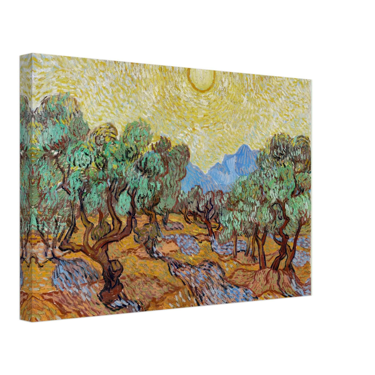 The Olive Trees by Vincent van Gogh - Canvas - 30x45 cm / 12x18″ - Slim