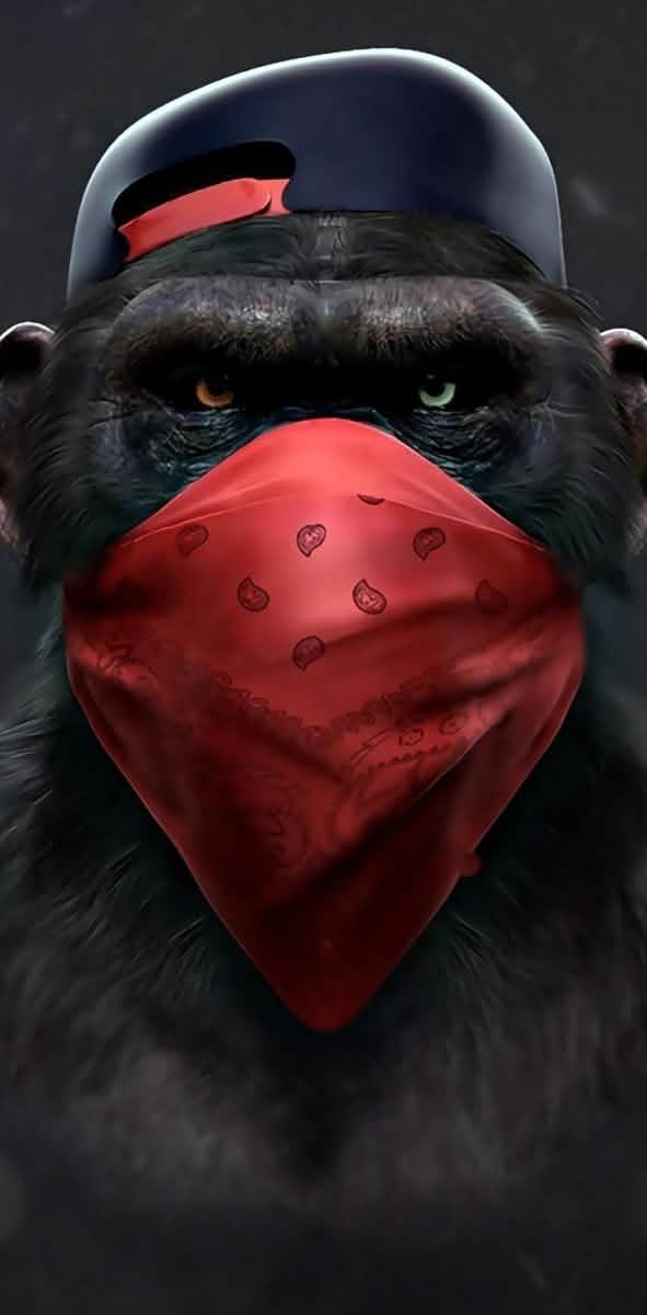 Urban Jungle Trio: Gorilla Vibes Canvas Bundle 50 x 100 CM -