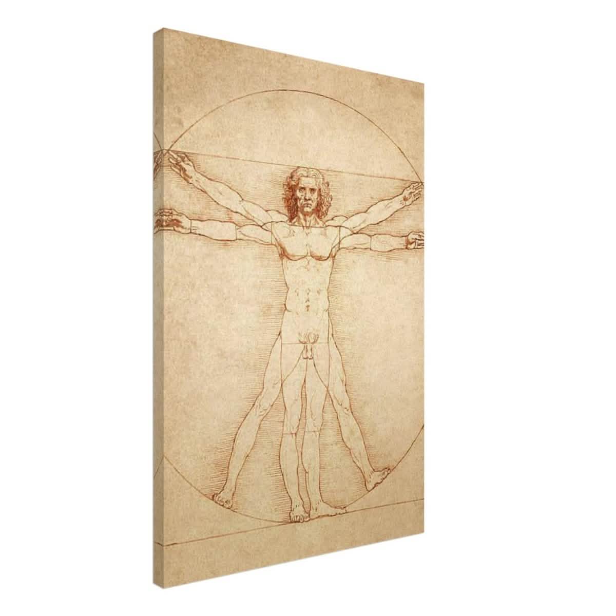 Vitruvian Man | L'uomo vitruviano by Leonardo da Vinci 1490 - Canvas - 50x75 cm / 20x30″ -