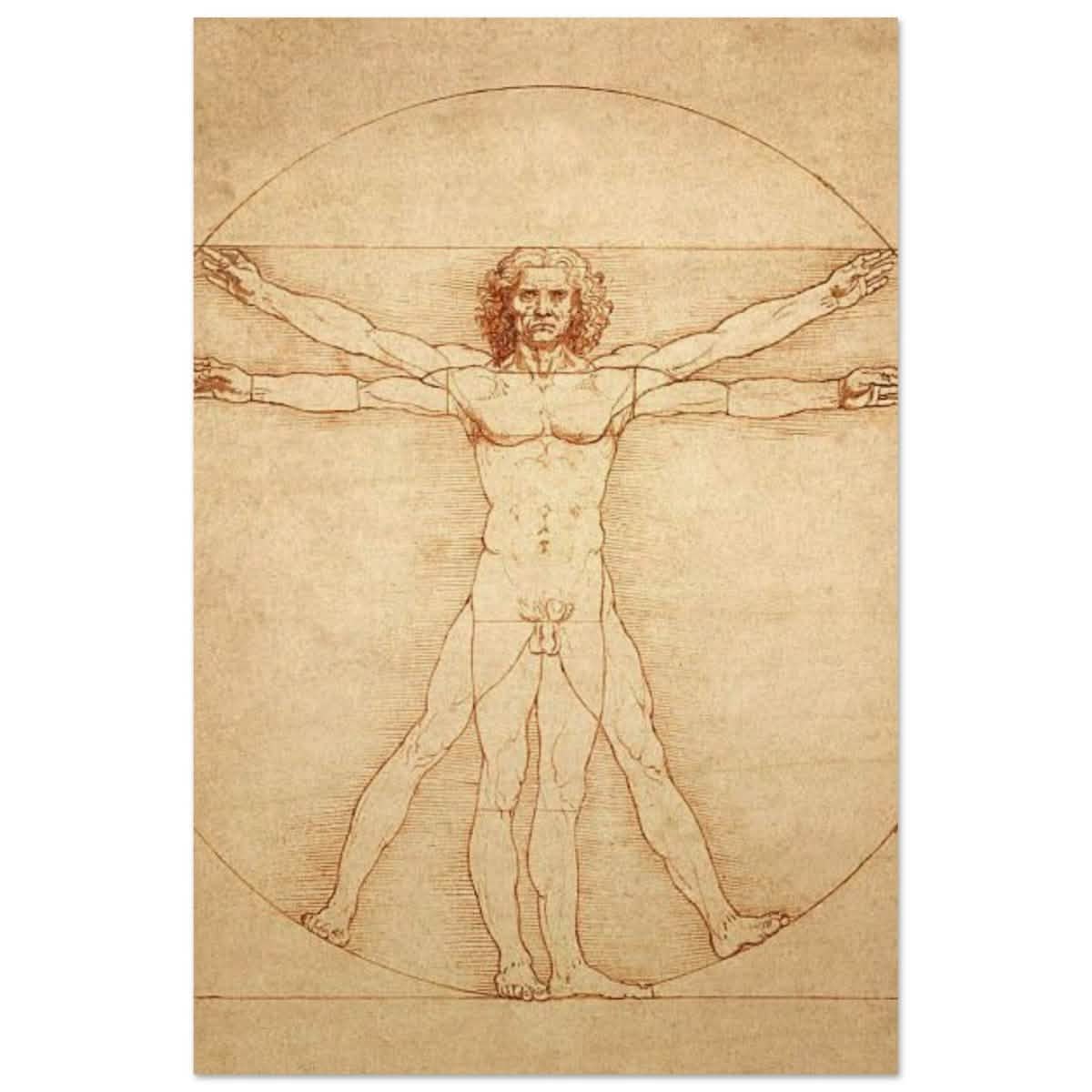 Vitruvian Man | L'uomo vitruviano by Leonardo da Vinci 1490 - Wood Prints - 60x90 cm / 24x36″ -
