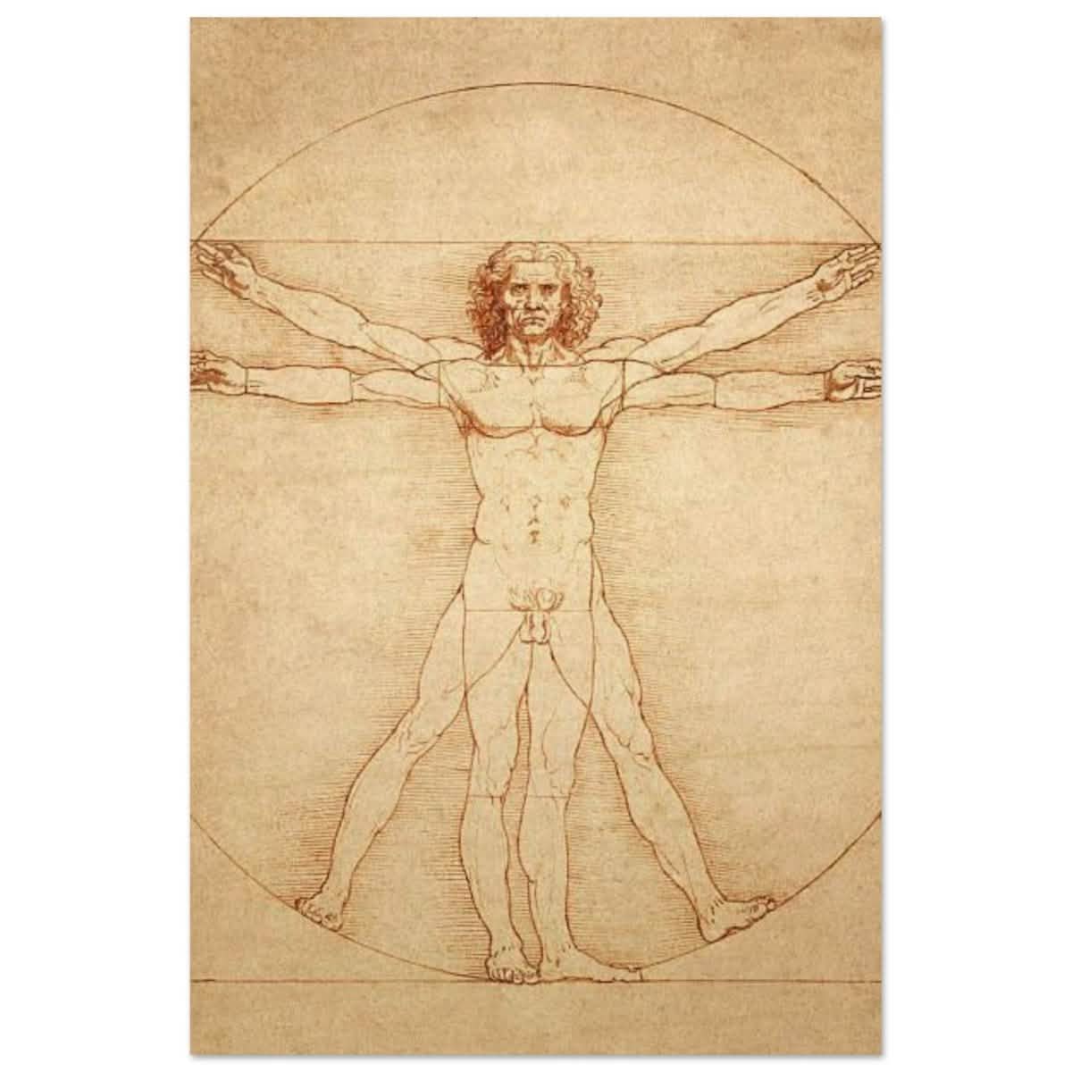 Vitruvian Man | L'uomo vitruviano by Leonardo da Vinci 1490 - Wood Prints - 40x60 cm / 16x24″ -