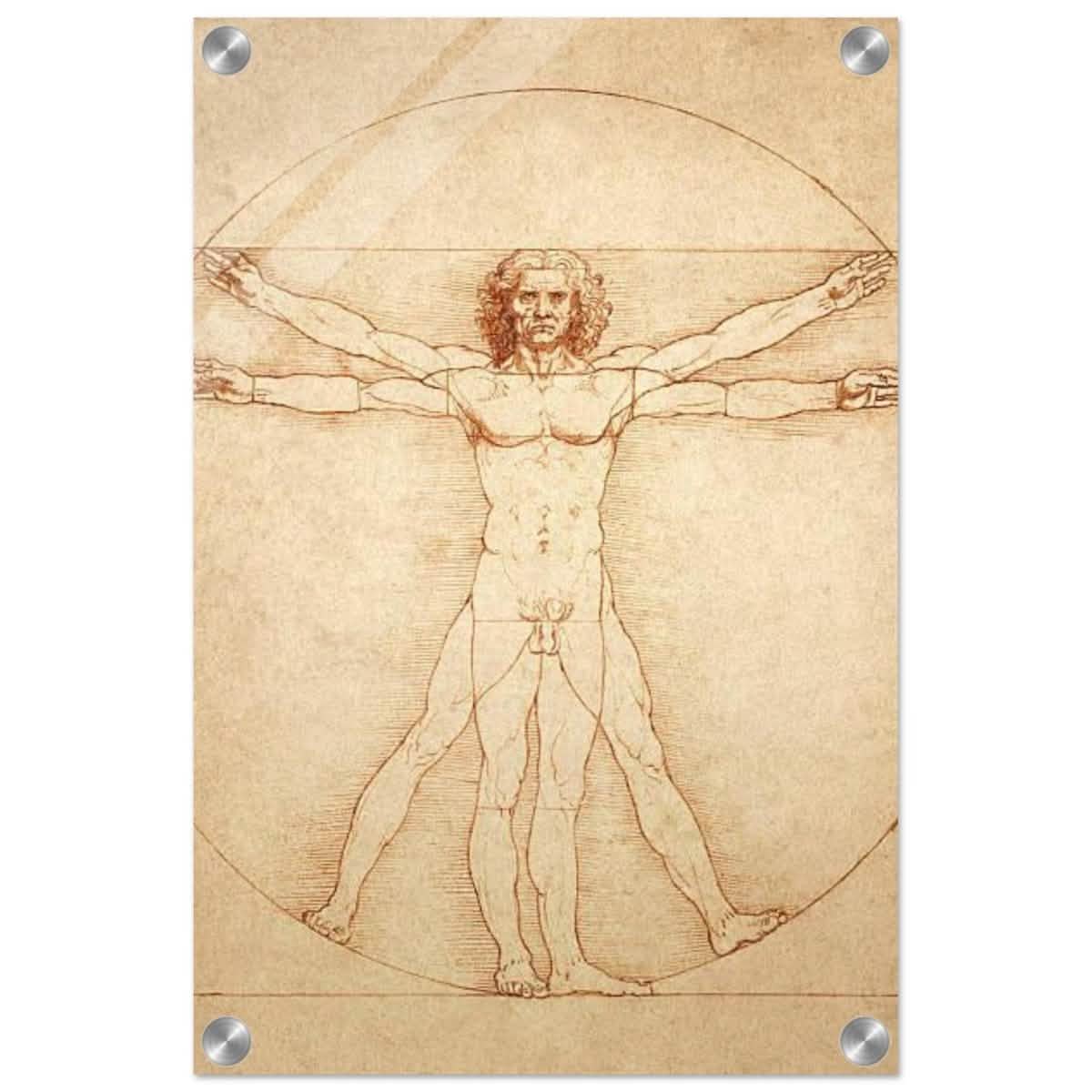 Vitruvian Man | L'uomo vitruviano by Leonardo da Vinci 1490 - Acrylic Print - 30x45 cm / 12x18″ -