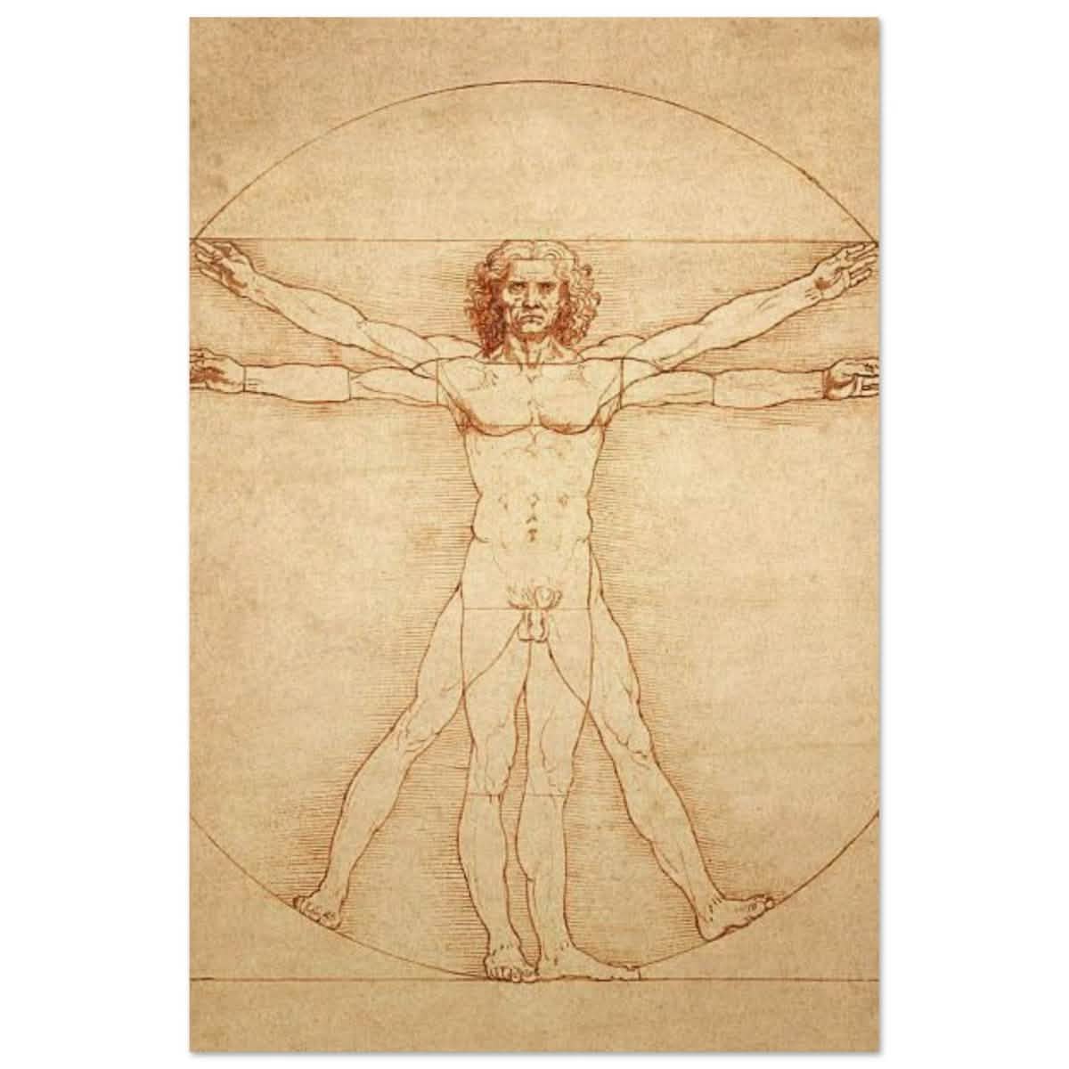 Vitruvian Man | L'uomo vitruviano by Leonardo da Vinci 1490 - Wood Prints - 30x45 cm / 12x18″ -