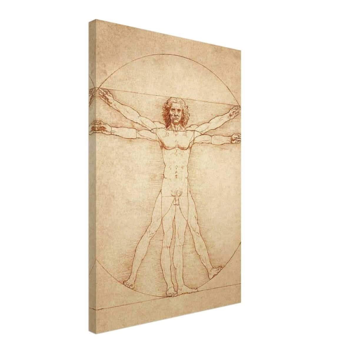 Vitruvian Man | L'uomo vitruviano by Leonardo da Vinci 1490 - Canvas - 40x60 cm / 16x24″ -