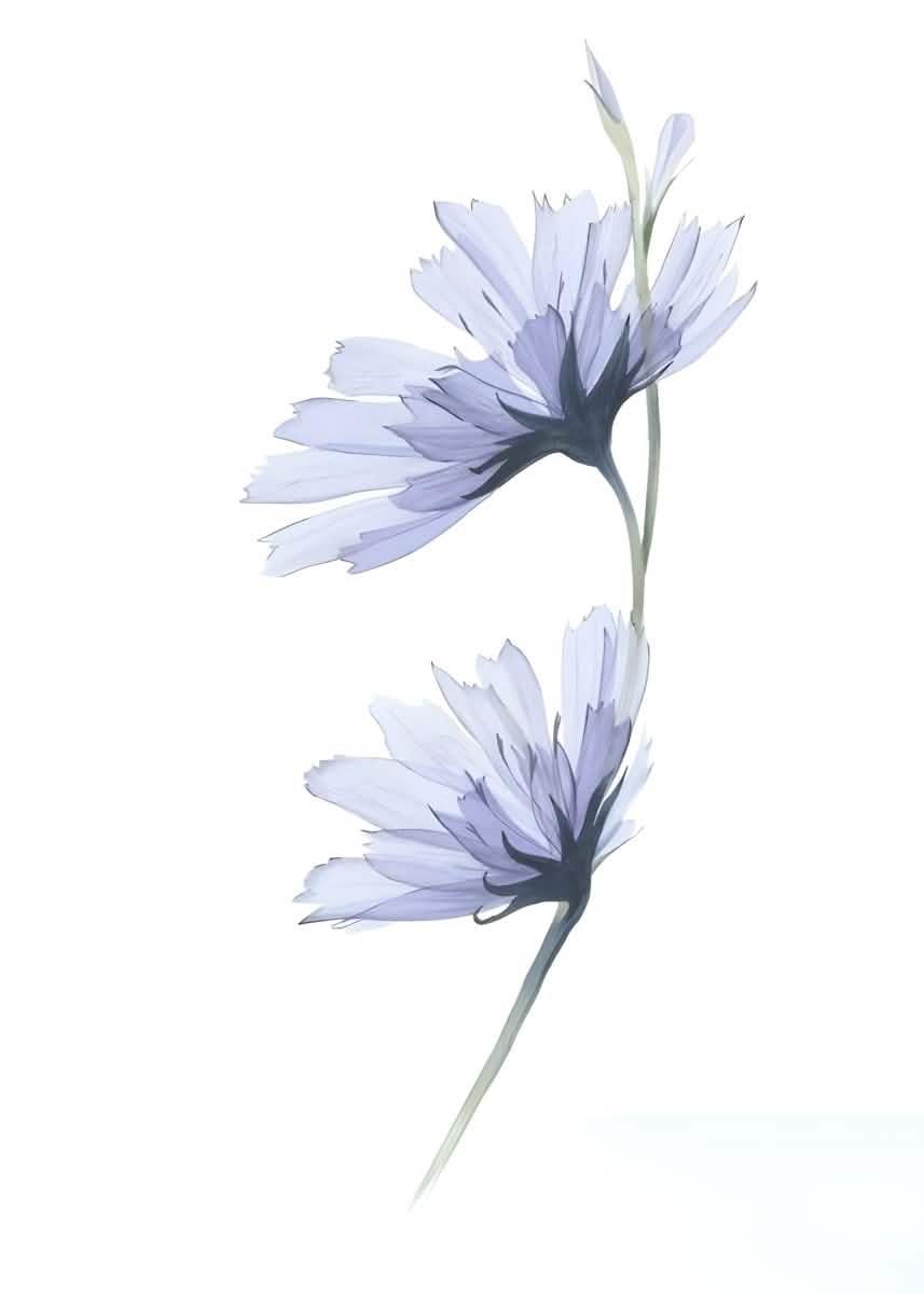 "Whispers of Petals" – Elegant Botanical Minimalism | Wall Art Print | 6 Design Options - 20x30 cm / 8x12" - Design Option 1 - Canvas