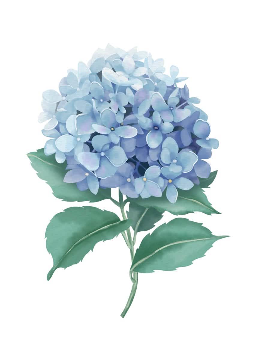 "Whispers of Petals" V02– Elegant Botanical Minimalism | Wall Art Print | 4 Design Options - 20x30 cm / 8x12" - Design Option 3 - Canvas