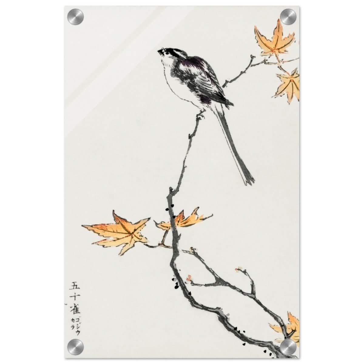 Whispers of the Sparrow | Traditional Japanese Ink and Wash wall art print - Acrylic Print - 30x45 cm / 12x18″ -