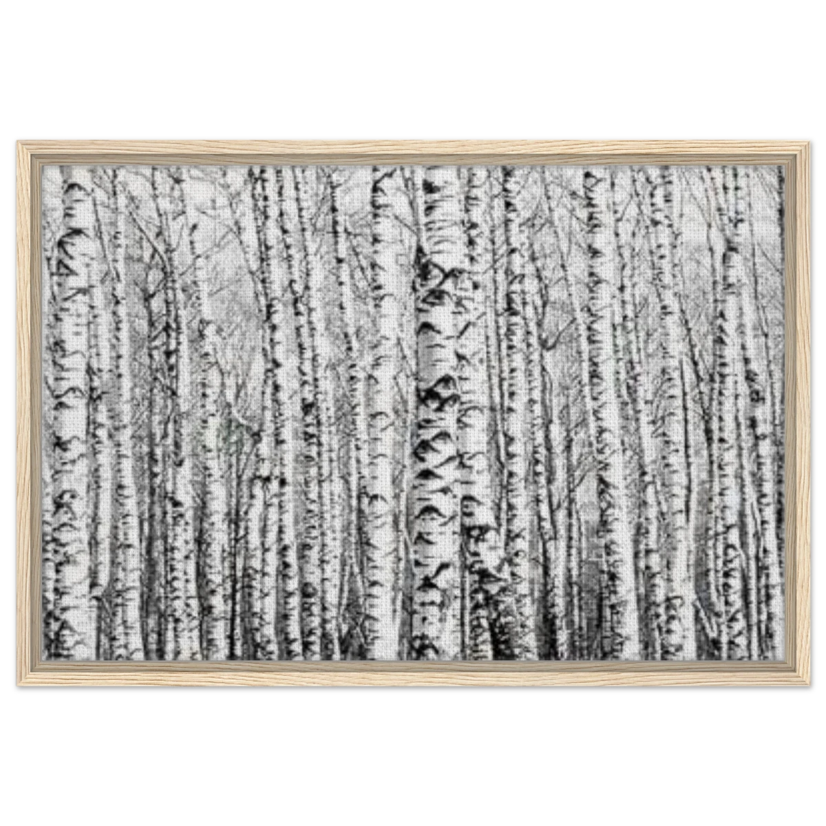 Winter Birch – A Minimalist Forest Escape Wall art - Framed Canvas - 50x75 cm / 20x30″ - Wood frame