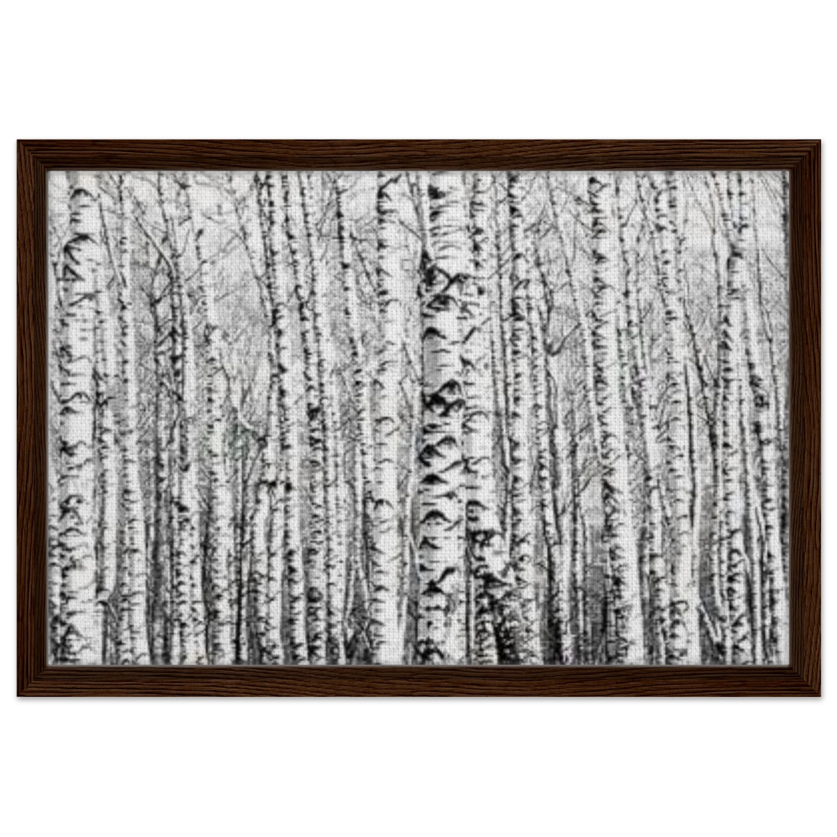 Winter Birch – A Minimalist Forest Escape Wall art - Framed Canvas - 40x60 cm / 16x24″ - Dark wood frame