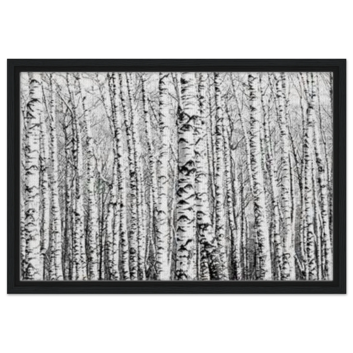 Winter Birch – A Minimalist Forest Escape Wall art - Framed Canvas - 40x60 cm / 16x24″ - Black frame