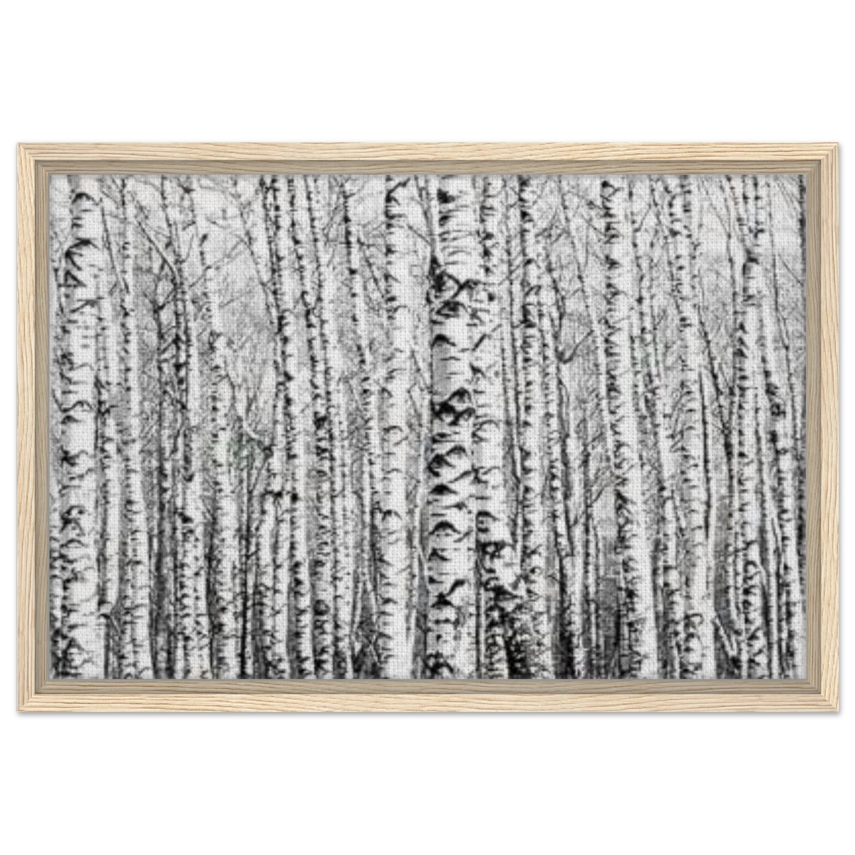 Winter Birch – A Minimalist Forest Escape Wall art - Framed Canvas - 40x60 cm / 16x24″ - Wood frame