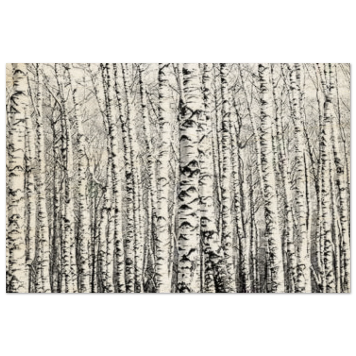 Winter Birch – A Minimalist Forest Escape Wall art - Wood Prints - 40x60 cm / 16x24″ -