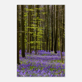  nature collection wall art spring