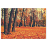 golden silence in autumn a tranquil forest escape wall art print20x30 cm / 8x12″Wood Prints