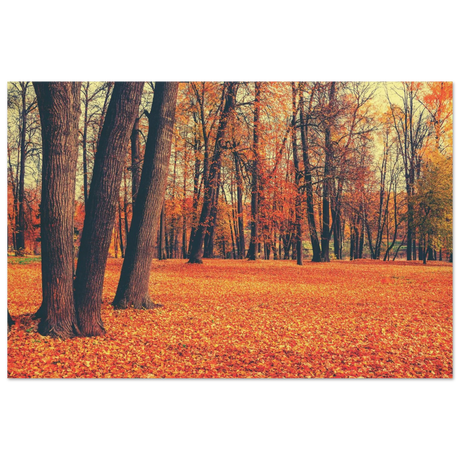 golden silence in autumn a tranquil forest escape wall art print20x30 cm / 8x12″Wood Prints