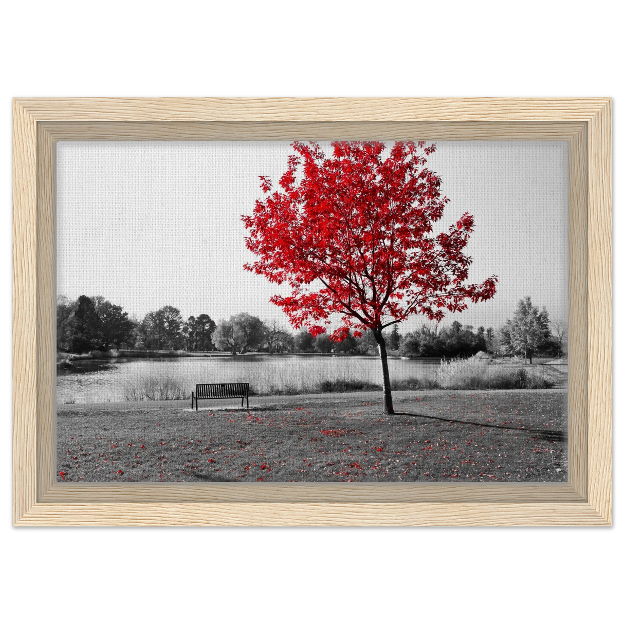 02dbed8d-9cce-4656-a72e-623ffe4d9966