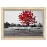 02dbed8d-9cce-4656-a72e-623ffe4d9966