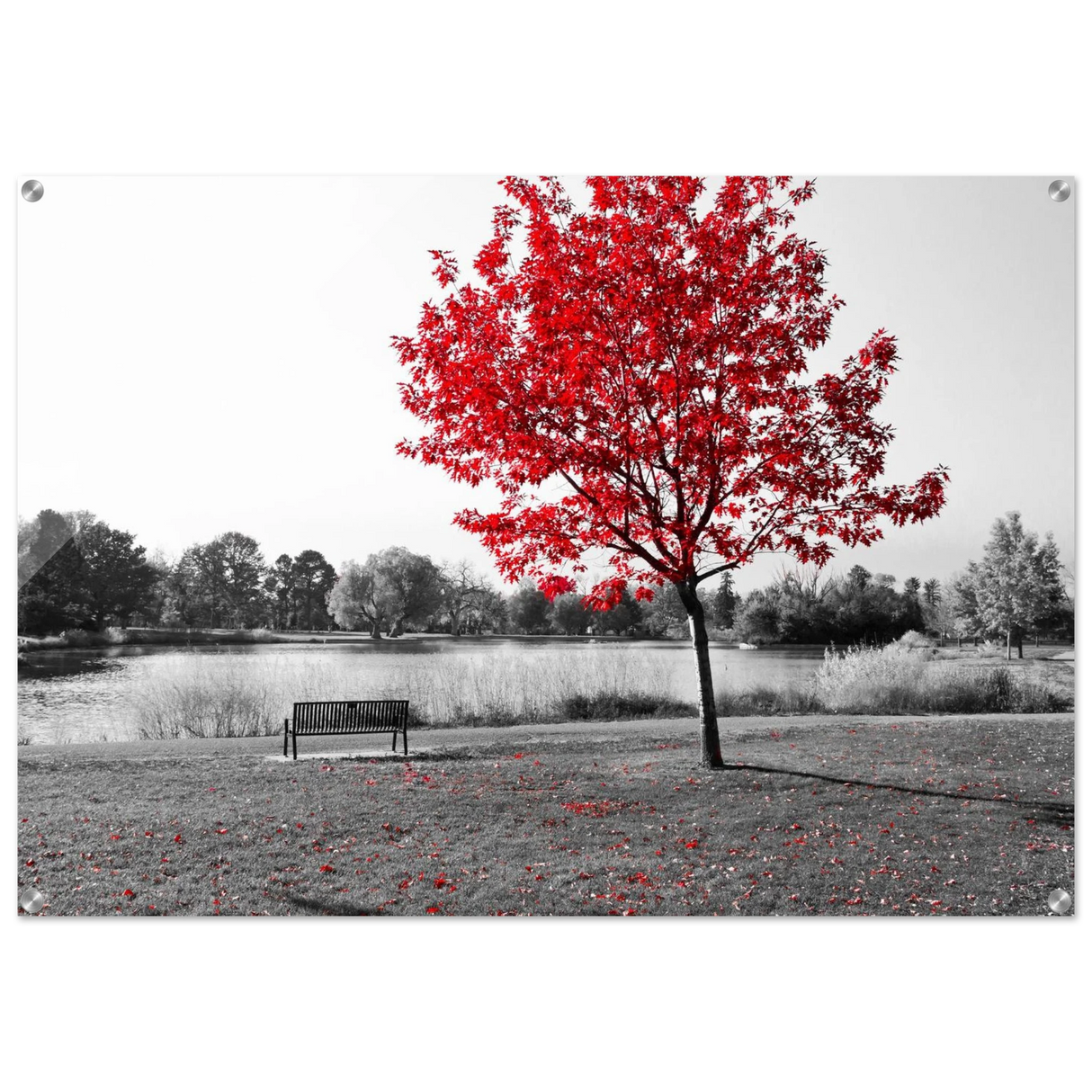 035cb552-9bca-4e98-9aca-18d877b8cd0e
