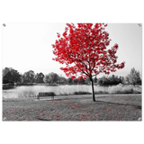 035cb552-9bca-4e98-9aca-18d877b8cd0e