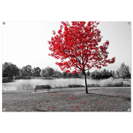 035cb552-9bca-4e98-9aca-18d877b8cd0e