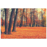 golden silence in autumn a tranquil forest escape wall art print60x90 cm / 24x36″Aluminum Print