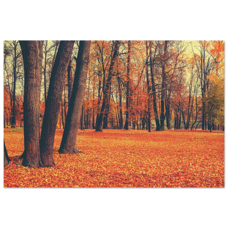 golden silence in autumn a tranquil forest escape wall art print30x45 cm / 12x18″Wood Prints