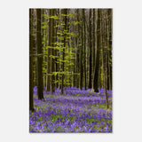  nature collection wall art spring