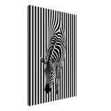  minimalist wall art wildlife zebra