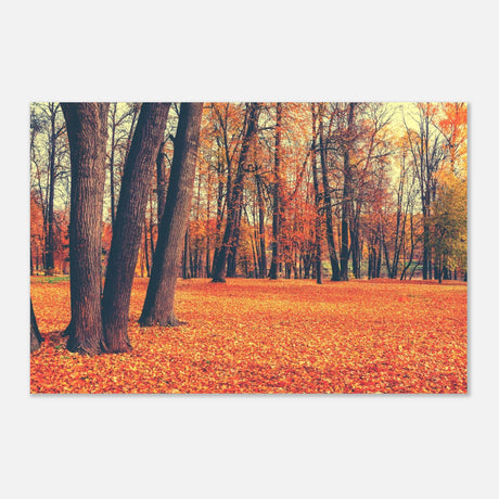 golden silence in autumn a tranquil forest escape wall art print40x60 cm / 16x24″Wood Prints