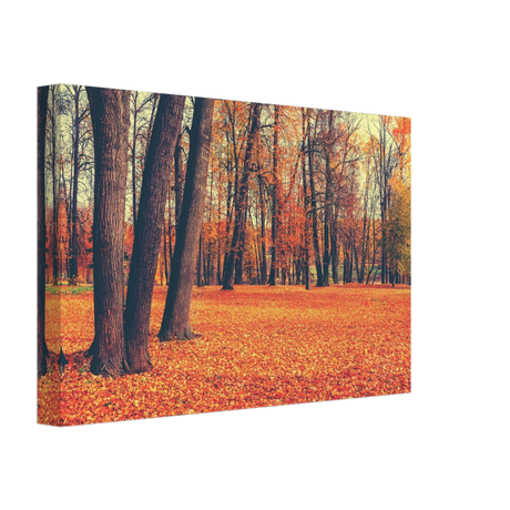 golden silence in autumn a tranquil forest escape wall art print50x75 cm / 20x30″Framed Canvas