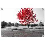 14f89069-fe0f-4875-9621-8adea2509bb3