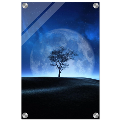 lunar silence a moonlit whisper in the night dreamy digital fantasy landscape wall art print20x30 cm / 8x12″Brushed Aluminum Print