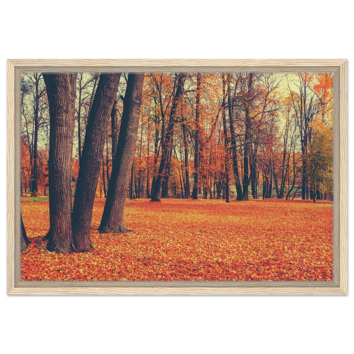 golden silence in autumn a tranquil forest escape wall art print50x75 cm / 20x30″Wood Prints