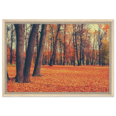 golden silence in autumn a tranquil forest escape wall art print50x75 cm / 20x30″Wood Prints