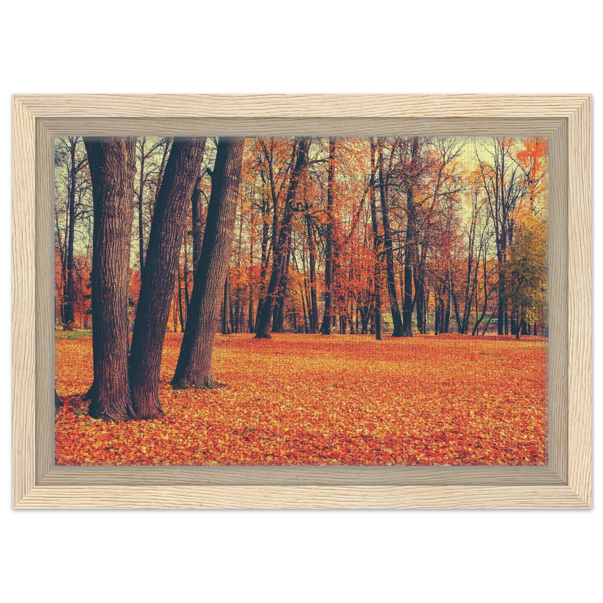 golden silence in autumn a tranquil forest escape wall art print30x45 cm / 12x18″Framed Canvas