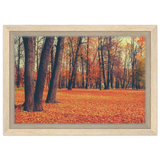 golden silence in autumn a tranquil forest escape wall art print30x45 cm / 12x18″Framed Canvas