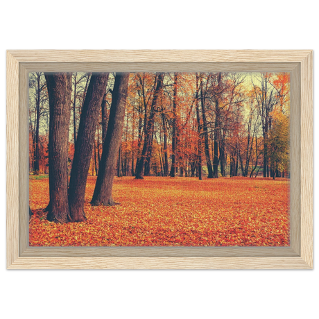 golden silence in autumn a tranquil forest escape wall art print30x45 cm / 12x18″Framed Canvas