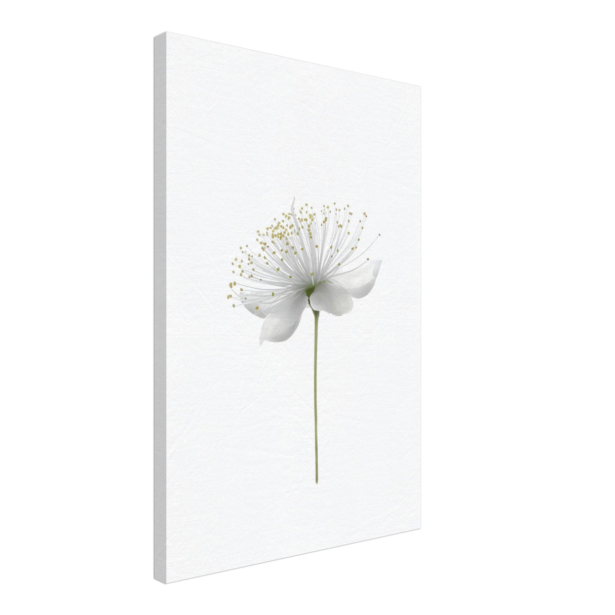 da vinci nature wall art floral 1