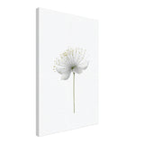 da vinci nature wall art floral 1
