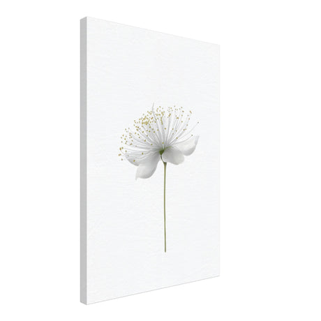 da vinci nature wall art floral 1
