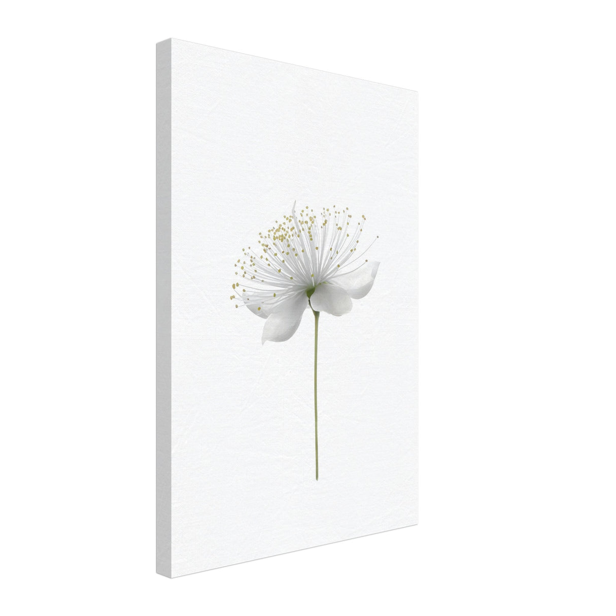da vinci nature wall art floral 1