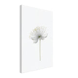 da vinci nature wall art floral 1
