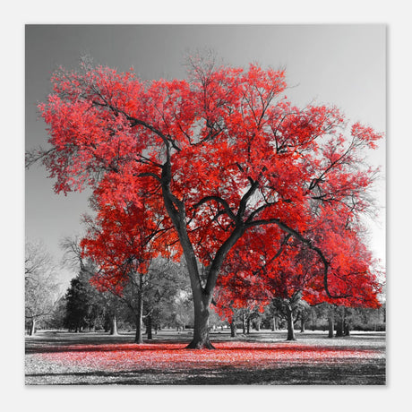 crimson crown monochrome autumn elegance wall art print60x60 cm / 24x24″Wood Prints