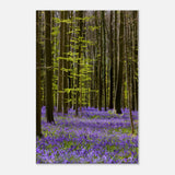  nature collection wall art spring