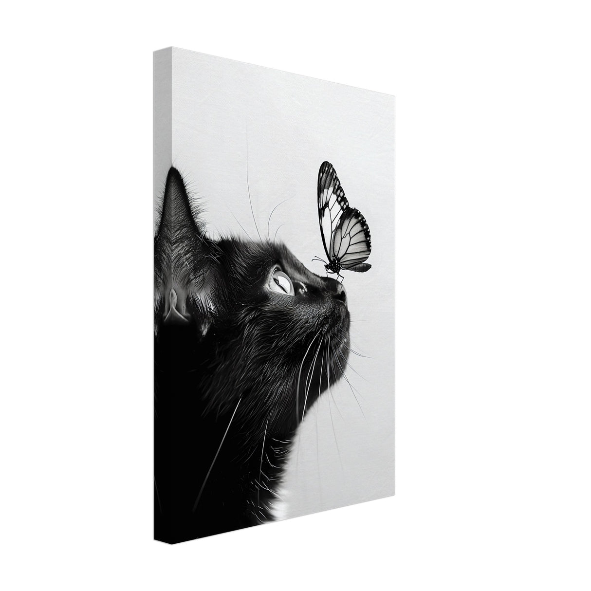  animal kingdom wall art cat butterfly