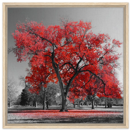 crimson crown monochrome autumn elegance wall art print30x30 cm / 12x12″Framed Canvas